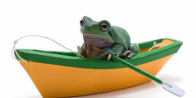 Chunky Frog's Dude In The Boat