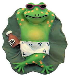 Frog Sunbathing